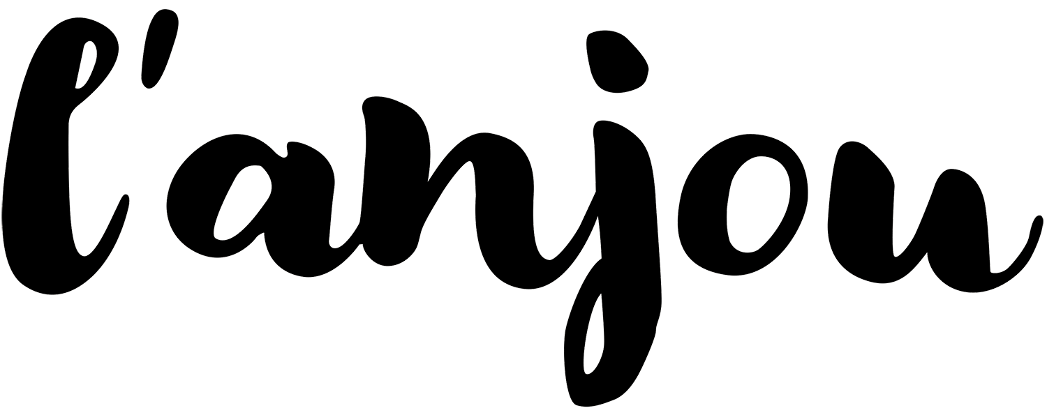 Accueil Brasserie l'Anjou L'Anjou